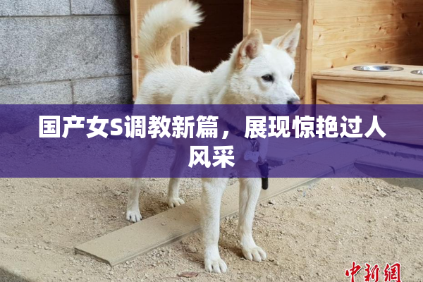 国产女S调教新篇，展现惊艳过人风采