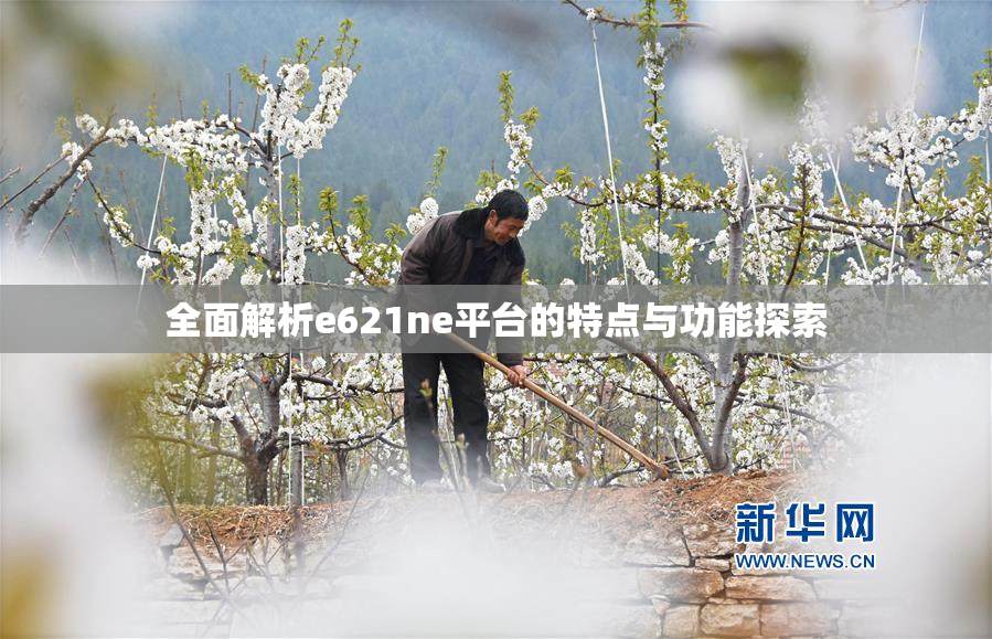 全面解析e621ne平台的特点与功能探索