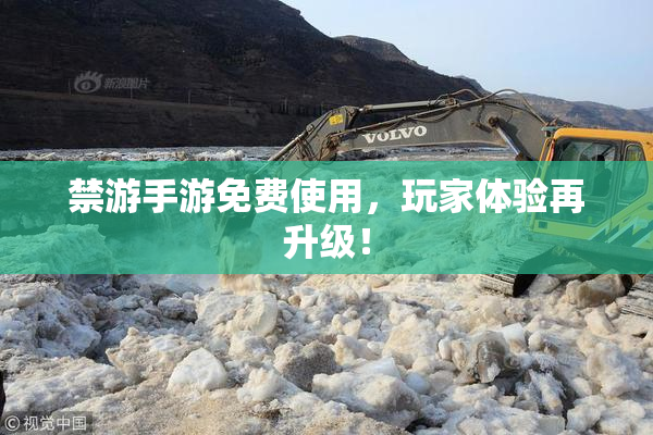 禁游手游免费使用，玩家体验再升级！