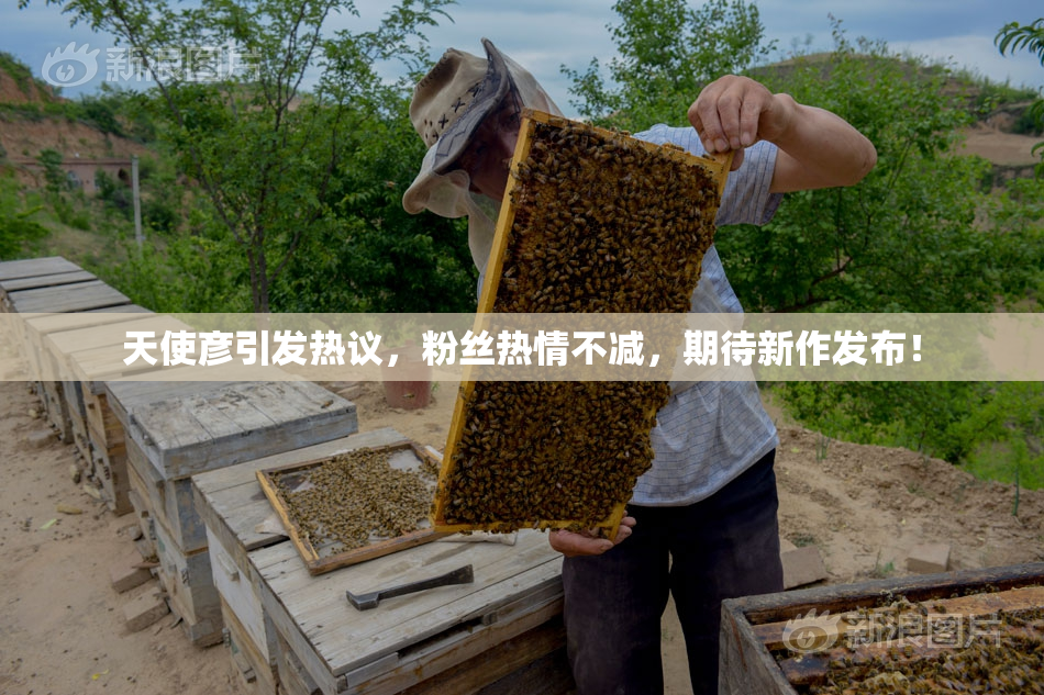 天使彦引发热议，粉丝热情不减，期待新作发布！