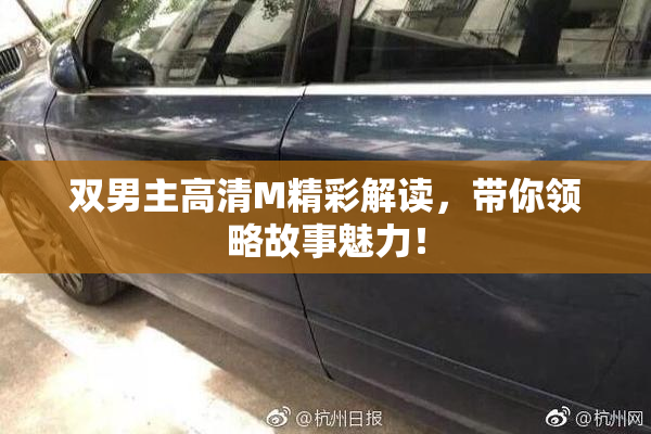 双男主高清M精彩解读，带你领略故事魅力！