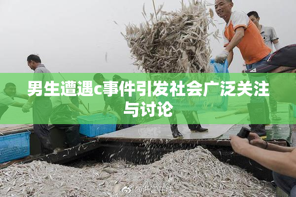 男生遭遇c事件引发社会广泛关注与讨论