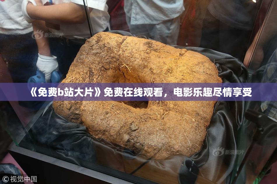 《免费b站大片》免费在线观看，电影乐趣尽情享受