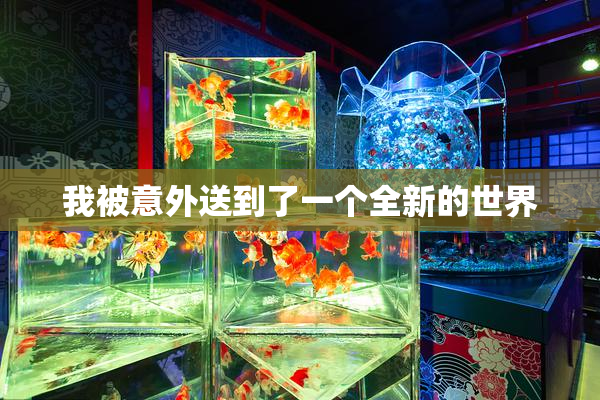 我被意外送到了一个全新的世界