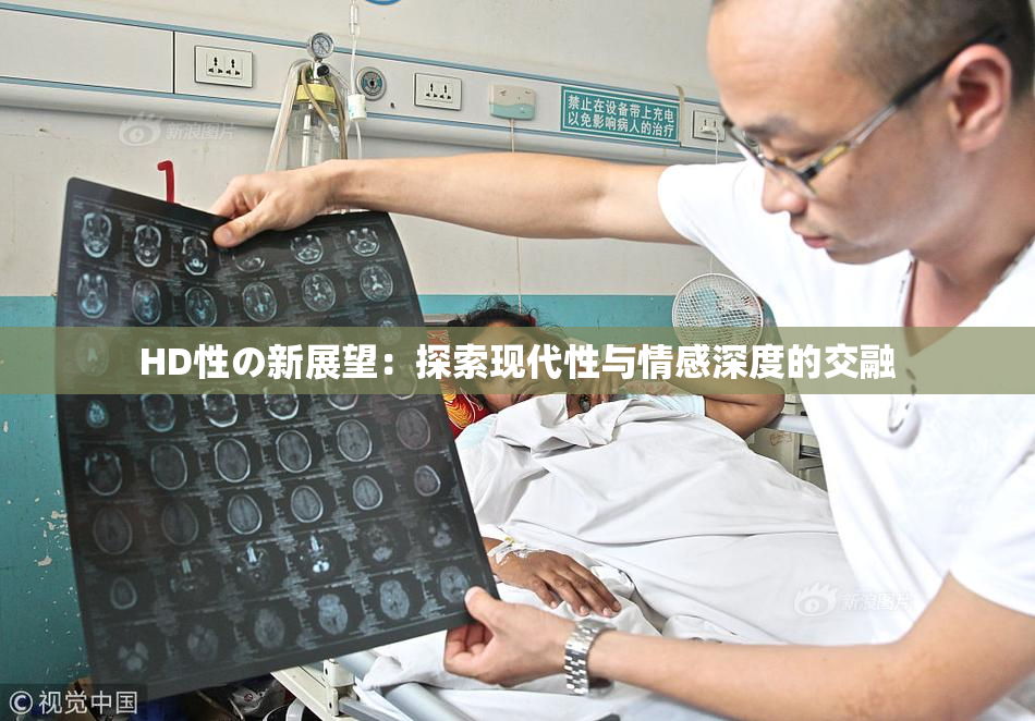 HD性の新展望：探索现代性与情感深度的交融