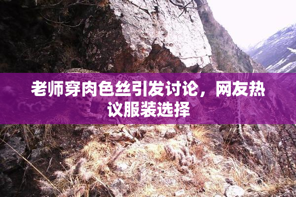 老师穿肉色丝引发讨论，网友热议服装选择