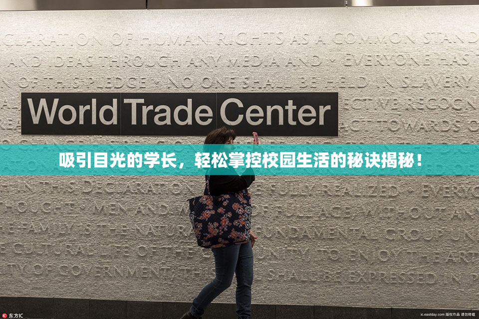 吸引目光的学长，轻松掌控校园生活的秘诀揭秘！