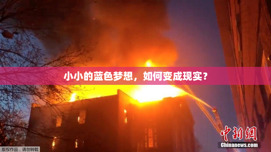 小小的蓝色梦想，如何变成现实？