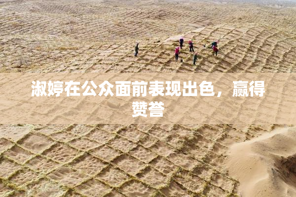 淑婷在公众面前表现出色，赢得赞誉