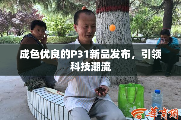 成色优良的P31新品发布，引领科技潮流