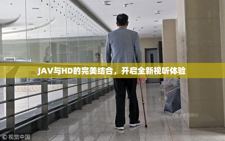 JAV与HD的完美结合，开启全新视听体验