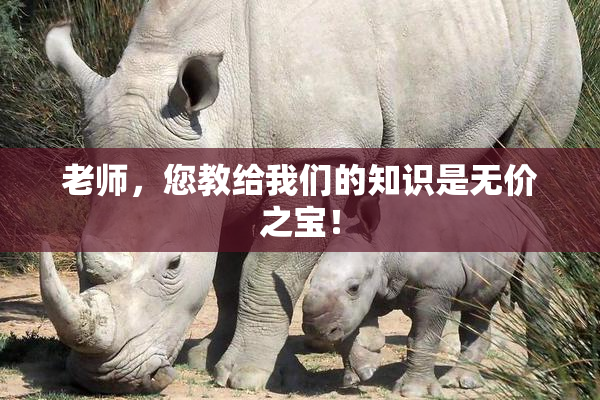 老师，您教给我们的知识是无价之宝！