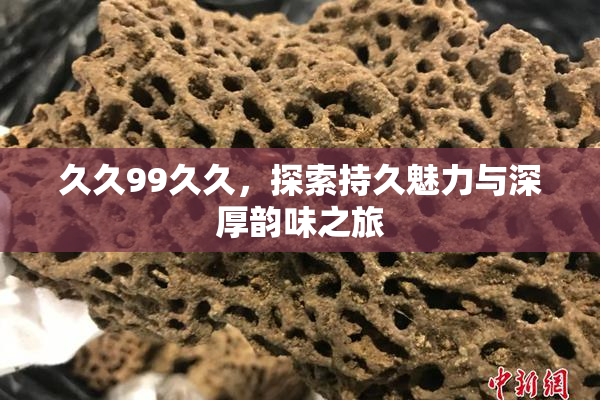 久久99久久，探索持久魅力与深厚韵味之旅