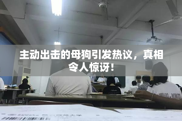 主动出击的母狗引发热议，真相令人惊讶！