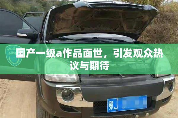 国产一级a作品面世，引发观众热议与期待