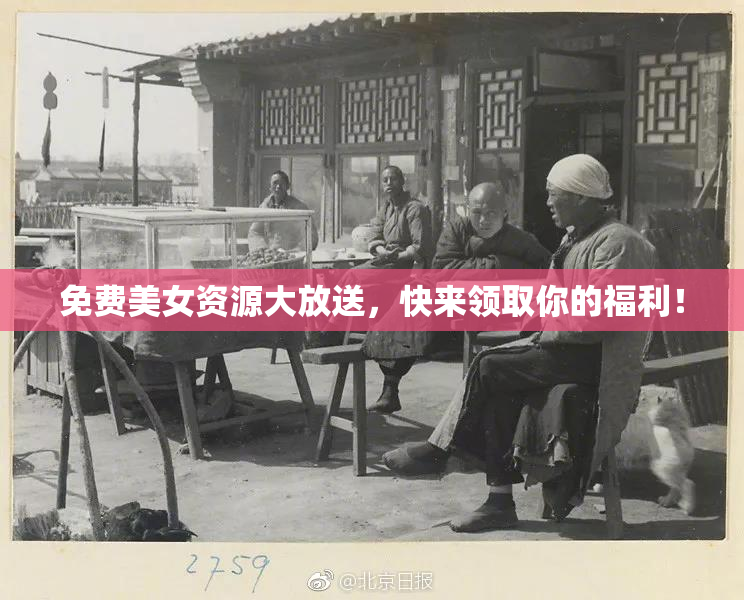 免费美女资源大放送，快来领取你的福利！