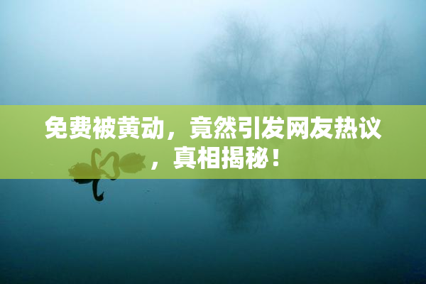 免费被黄动，竟然引发网友热议，真相揭秘！