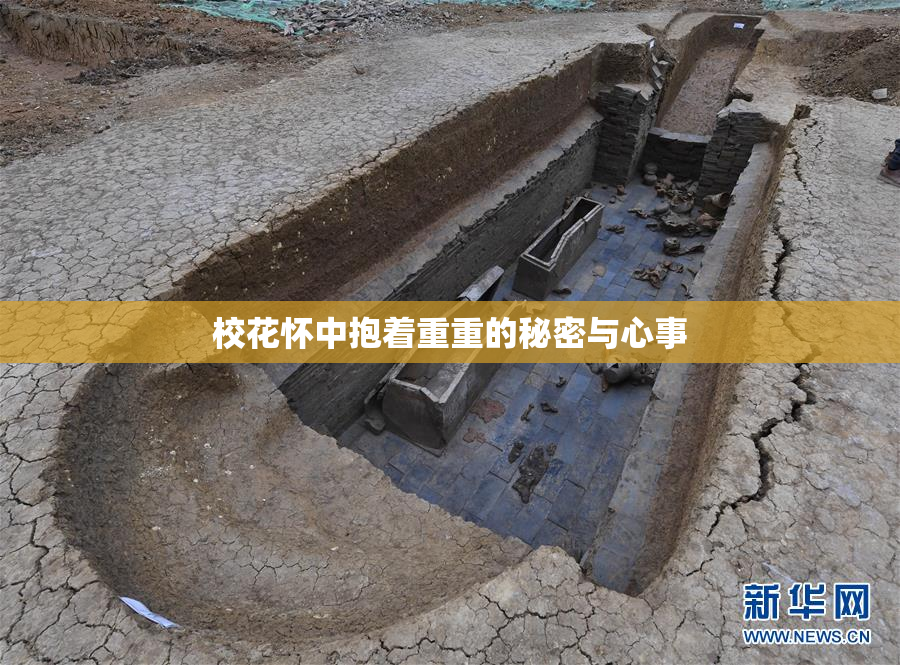 校花怀中抱着重重的秘密与心事