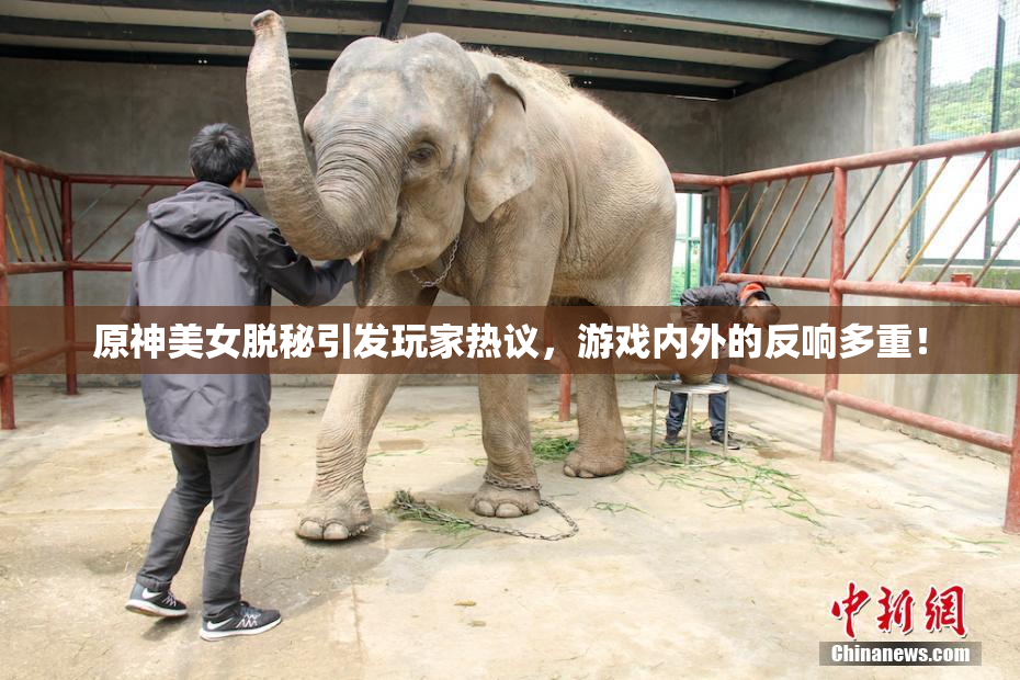 原神美女脱秘引发玩家热议，游戏内外的反响多重！