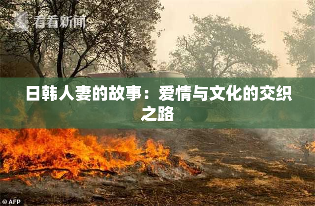 日韩人妻的故事：爱情与文化的交织之路