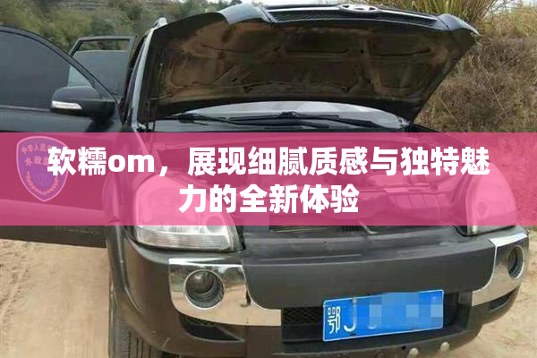 软糯om，展现细腻质感与独特魅力的全新体验
