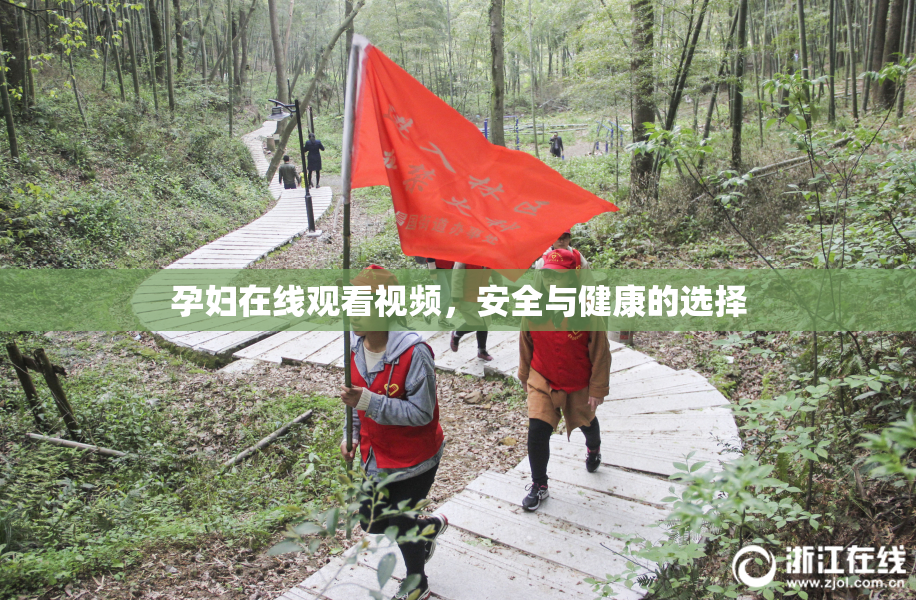 孕妇在线观看视频，安全与健康的选择