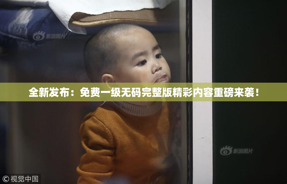 全新发布：免费一级无码完整版精彩内容重磅来袭！