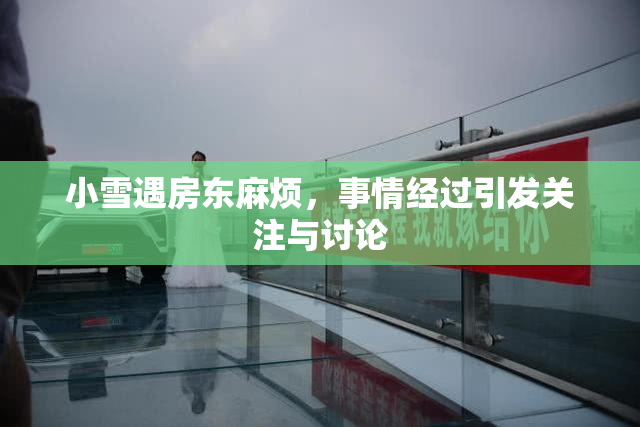 小雪遇房东麻烦，事情经过引发关注与讨论