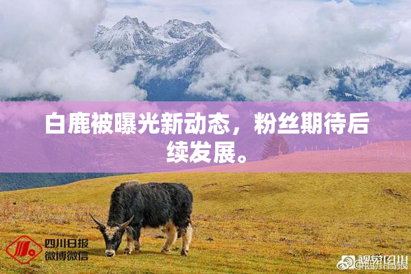 白鹿被曝光新动态，粉丝期待后续发展。