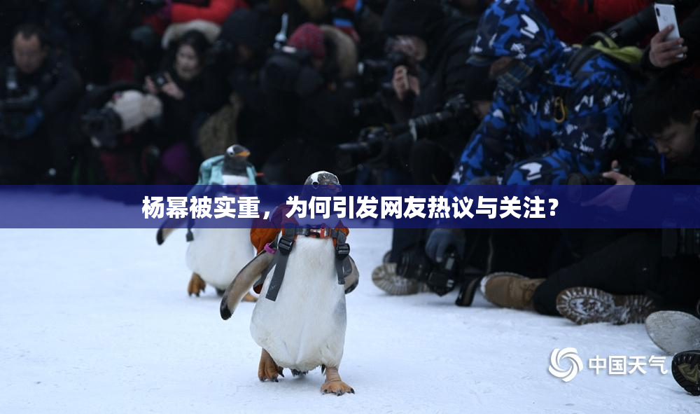 杨幂被实重，为何引发网友热议与关注？