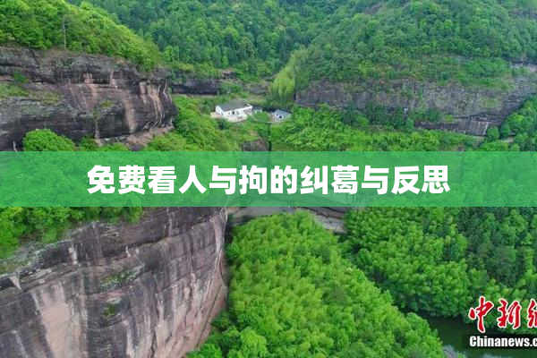 免费看人与拘的纠葛与反思
