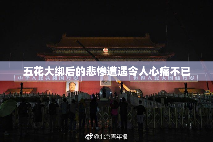 五花大绑后的悲惨遭遇令人心痛不已