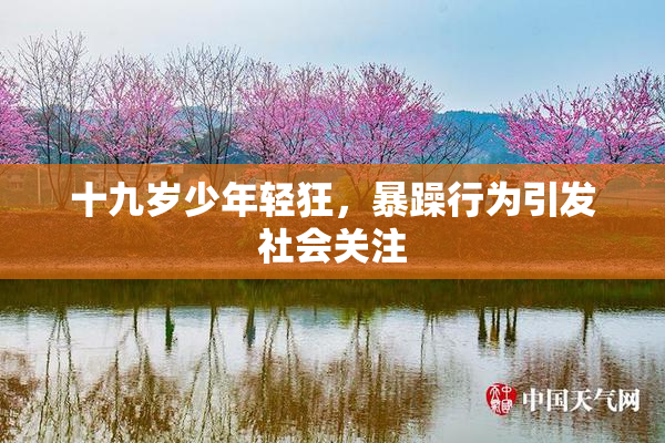 十九岁少年轻狂，暴躁行为引发社会关注