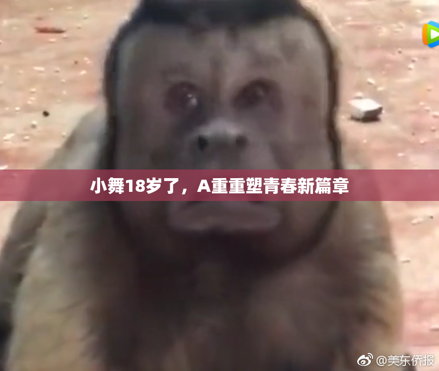 小舞18岁了，A重重塑青春新篇章