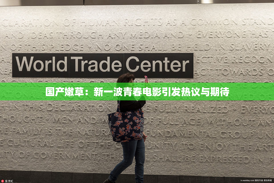 国产嫩草：新一波青春电影引发热议与期待