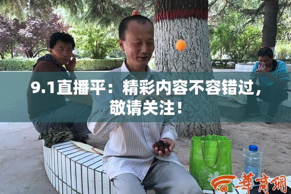 9.1直播平：精彩内容不容错过，敬请关注！