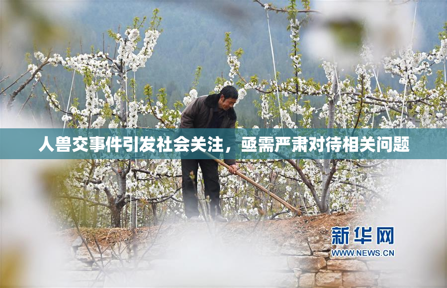 人兽交事件引发社会关注，亟需严肃对待相关问题