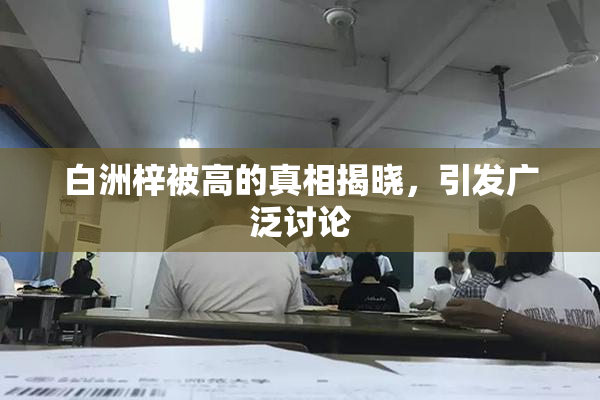 白洲梓被高的真相揭晓，引发广泛讨论