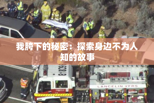 我胯下的秘密：探索身边不为人知的故事