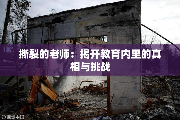 撕裂的老师：揭开教育内里的真相与挑战