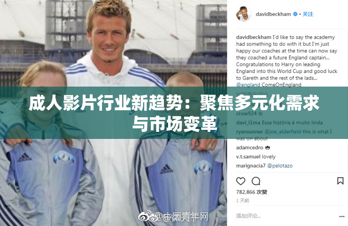 成人影片行业新趋势：聚焦多元化需求与市场变革