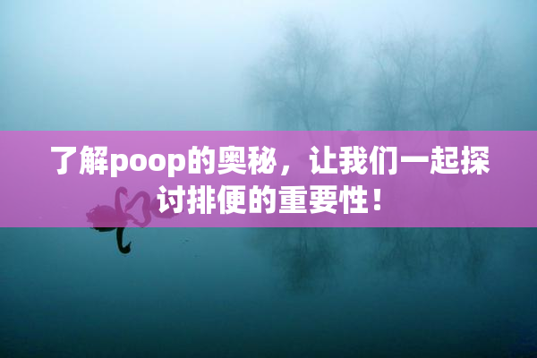 了解poop的奥秘，让我们一起探讨排便的重要性！