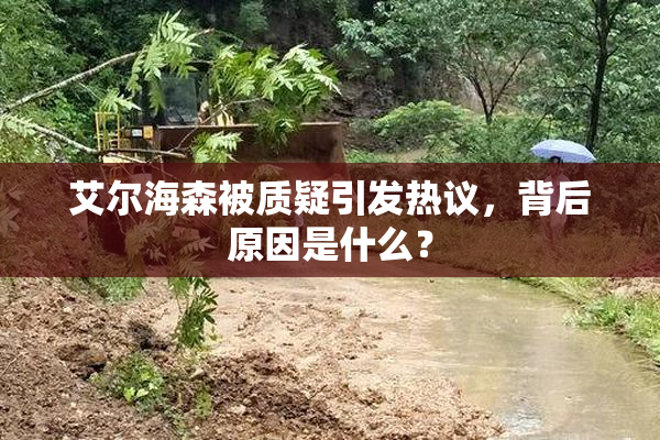 艾尔海森被质疑引发热议，背后原因是什么？
