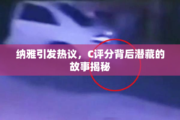 纳雅引发热议，C评分背后潜藏的故事揭秘