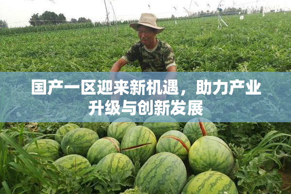 国产一区迎来新机遇，助力产业升级与创新发展