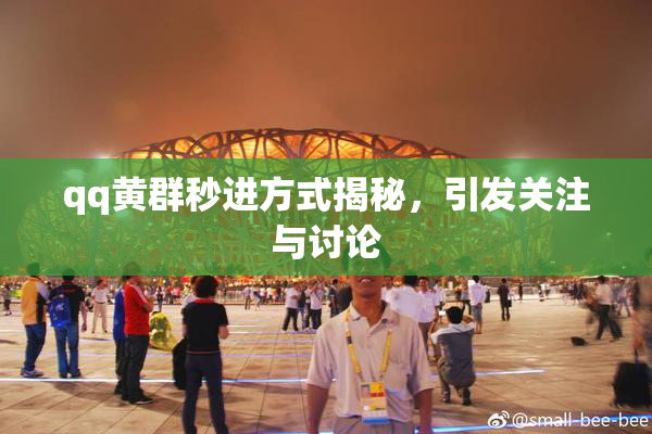 qq黄群秒进方式揭秘，引发关注与讨论