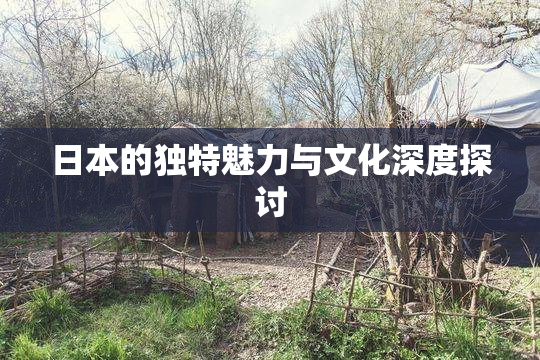 日本的独特魅力与文化深度探讨