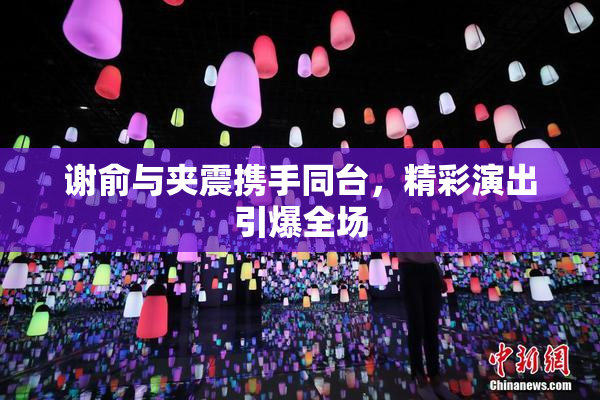谢俞与夹震携手同台，精彩演出引爆全场