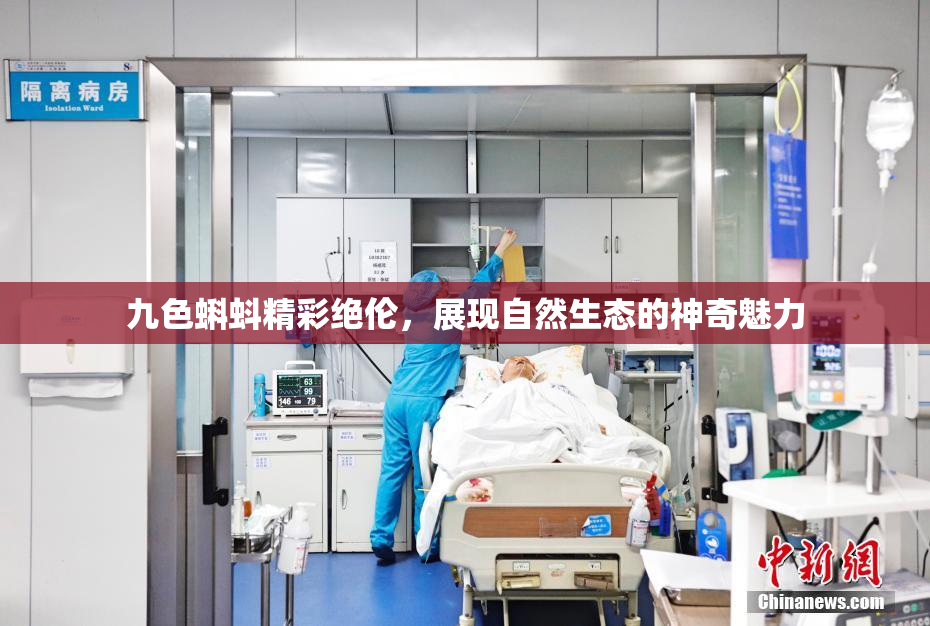 九色蝌蚪精彩绝伦，展现自然生态的神奇魅力
