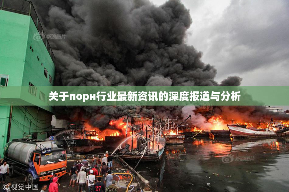 关于порн行业最新资讯的深度报道与分析